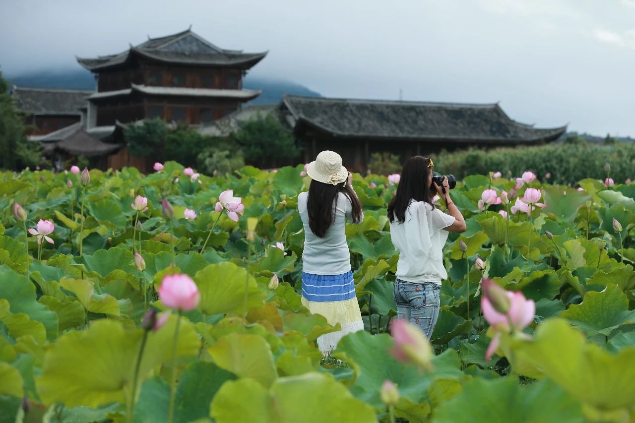 2020暑期?騰沖研學(xué)：打卡邊境小城，與自然對話！