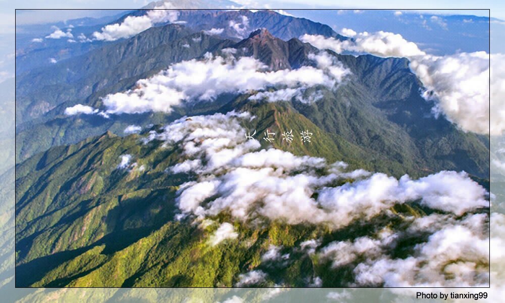 2020最受歡迎的暑假夏令營主題有哪些？