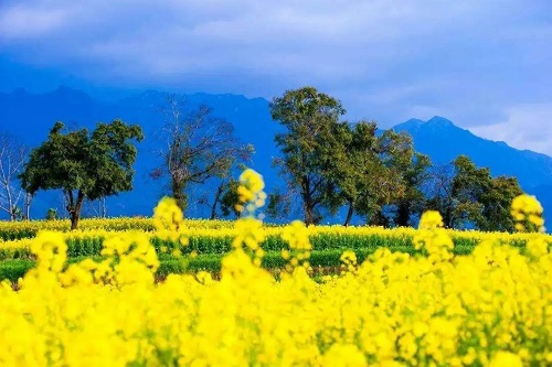 對(duì)于云南的民族節(jié)日你知道幾個(gè)？