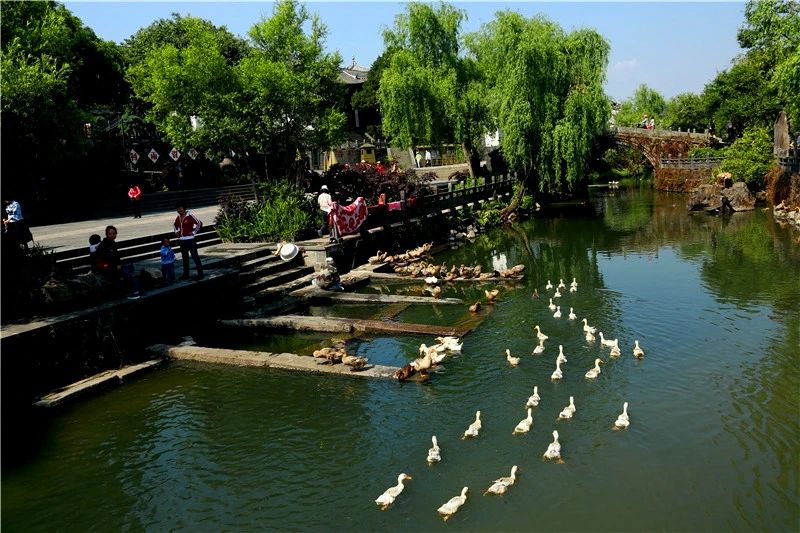 研學商業(yè)模式或將巨變！北京鼓勵社會力量參與博物館社教活動開發(fā)和實施