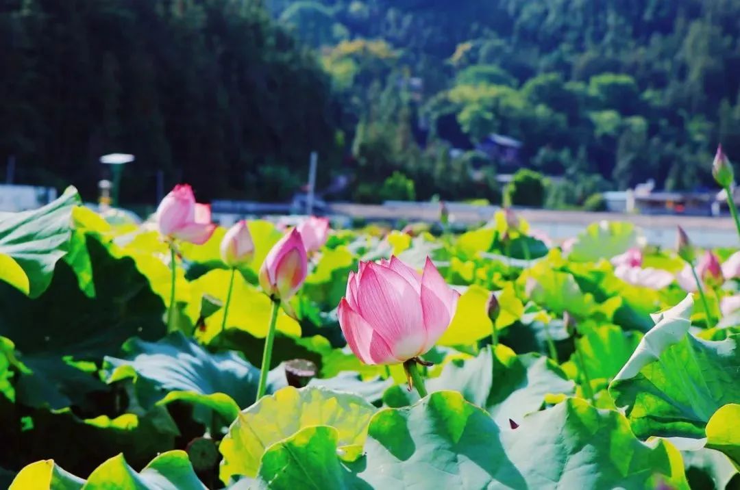 昆明年會(huì)場(chǎng)地預(yù)定:外企和國(guó)企的年會(huì)形式區(qū)別