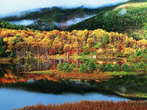 享受婚禮、選擇專業(yè)，您的完美婚禮是我們永不改變的目標