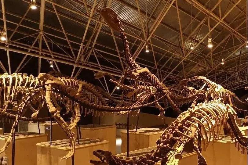 暢游云南，這12條經(jīng)典路線不能錯過！—— 世界恐龍谷歡樂暢玩