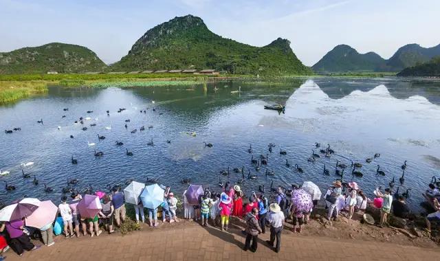 春節(jié)云南特輯 | 人少景美！春節(jié)云南旅游線路推薦十