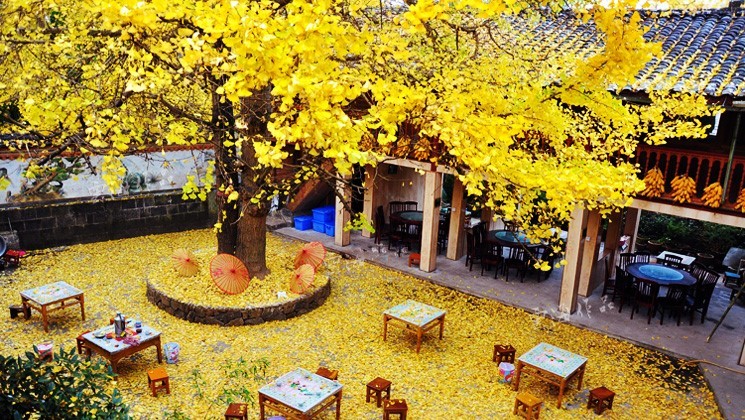 云南旅游不能錯(cuò)過的七個(gè)目的地