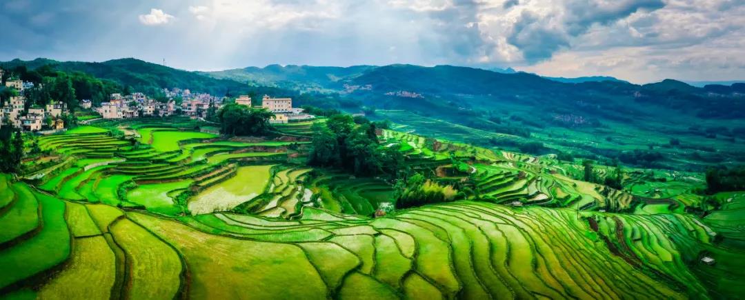 去到了紅河州元陽縣哈尼梯田才知道，什么是人在畫中游！
