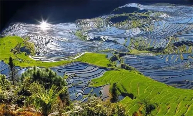 云南紅河旅游—云南十大特色旅游新地標：撒瑪壩萬畝梯田景區(qū)