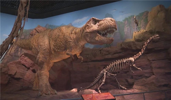 云南澄江化石地：世界遺產(chǎn)，探索人類起源，見證寒武紀生命大爆發(fā)