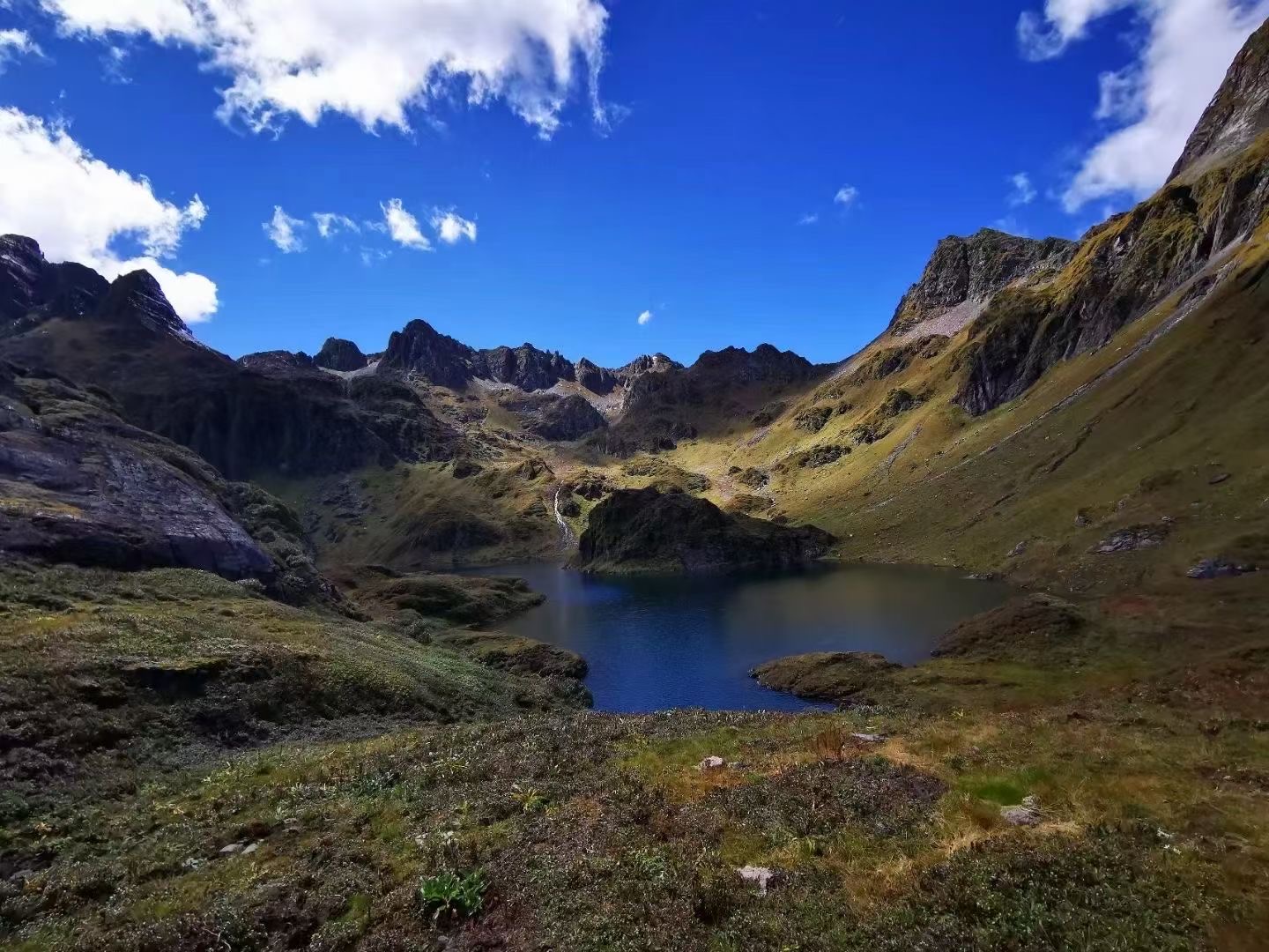 云南策劃公司能夠提供哪些服務(wù)呢？