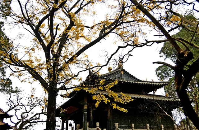 云南傳媒公司：在云南，聽說古鎮(zhèn)和秋天更配