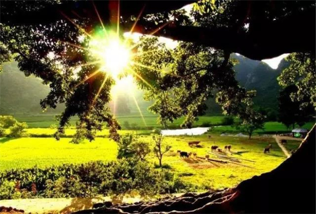 云南傳媒公司：這才是傳說中的世外桃源，要到4月份才開放！