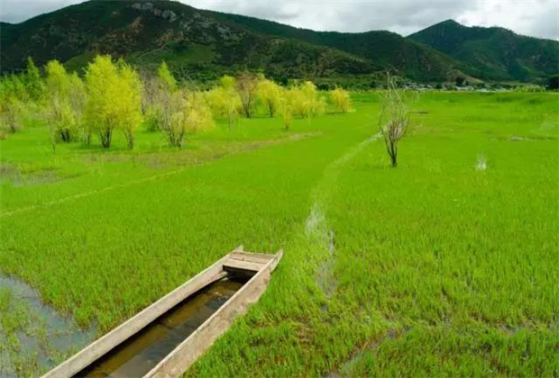 云南會(huì)展策劃：關(guān)于瀘沽湖的好風(fēng)景，都想與你分享！