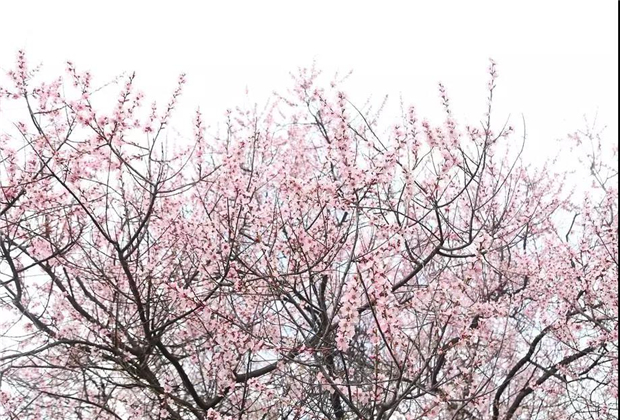 云南傳媒公司：24個(gè)相見恨晚的旅行地，收藏好這份旅行清單