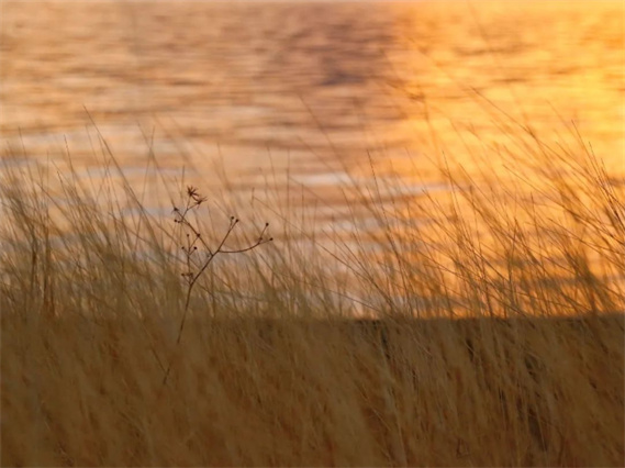 醉美，湖光山色云南永勝程海湖！