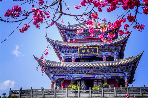 疫情過(guò)后，給自己來(lái)一場(chǎng)放縱的旅行...麗江的夏天愿你更美！