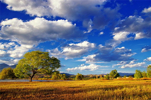 麗江的聲音真好聽(tīng)！
