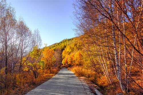 云南網(wǎng)紅高速服務區(qū)藏不住了！看完都想去打卡之二——讀書鋪服務區(qū)