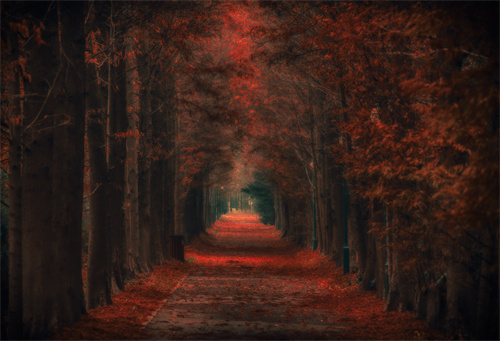 一眼千年，走進(jìn)熠熠生輝的瀘西城子古村