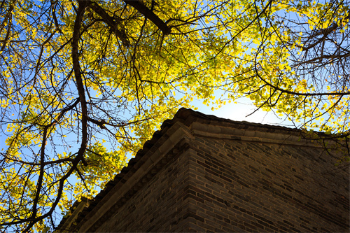 云南推出71條?省級示范線路:“傳承紅色基因·弘揚(yáng)奮斗精神”