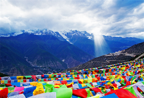 不足600只！云南這種絕美動物遠比大熊貓珍惜