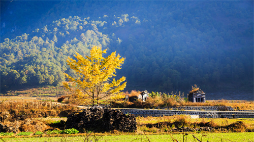 一般一個(gè)拓展訓(xùn)練場(chǎng)地會(huì)占多大地方？