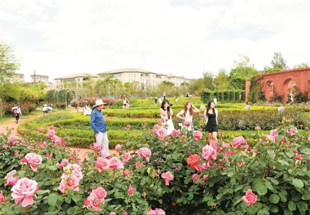 云南旅游,云南旅行社,云南團(tuán)建公司,云南策劃公司,云南會(huì)議公司,昆明旅游,昆明旅行社,昆明團(tuán)建公司,昆明策劃公司,昆明會(huì)議執(zhí)行：旅居昆明，在花海里通關(guān)四季！花歷正在更新，等你來簽收春天→