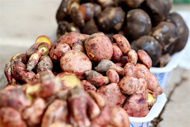 云南旅游,云南旅行社,云南團(tuán)建公司,云南策劃公司,云南會(huì)議會(huì)展,昆明旅游,昆明旅行社,昆明團(tuán)建公司,昆明策劃公司,昆明會(huì)議會(huì)展：云南吃菌季，來了！｜有一種叫云南的生活之365天