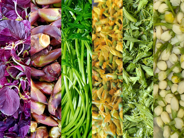 大理旅游：大理“食春”圖鑒來(lái)啦